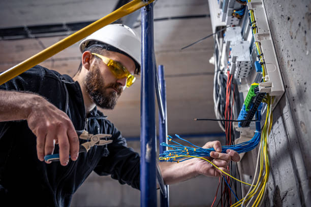 Best Affordable Electrician  in Tavares, FL