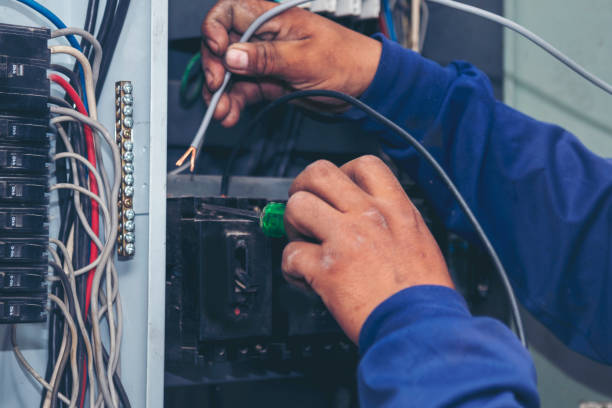 Best Local Electrician Companies  in Tavares, FL